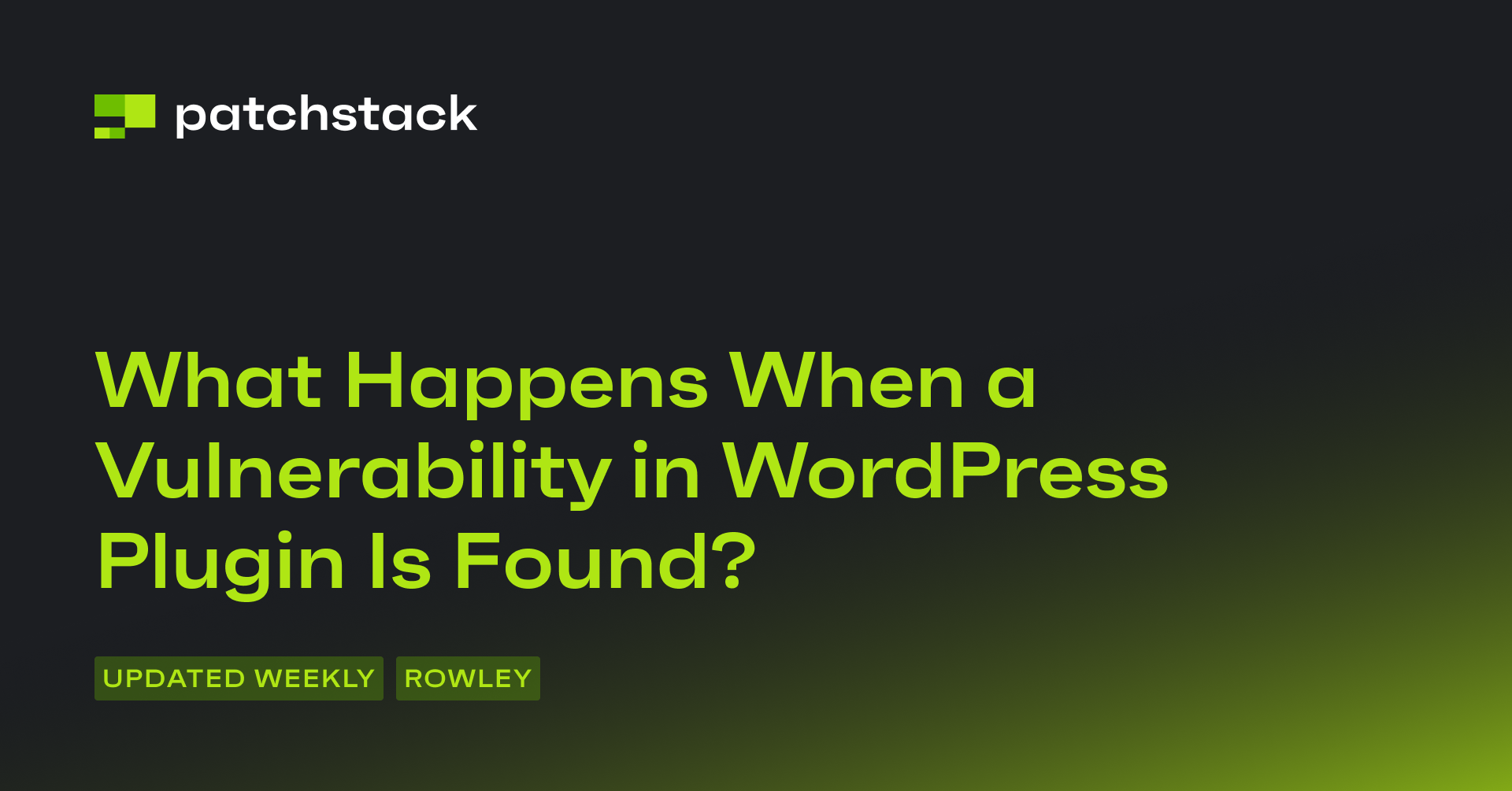 What Happens When Vulnerability in WordPress Plugin Is Found?