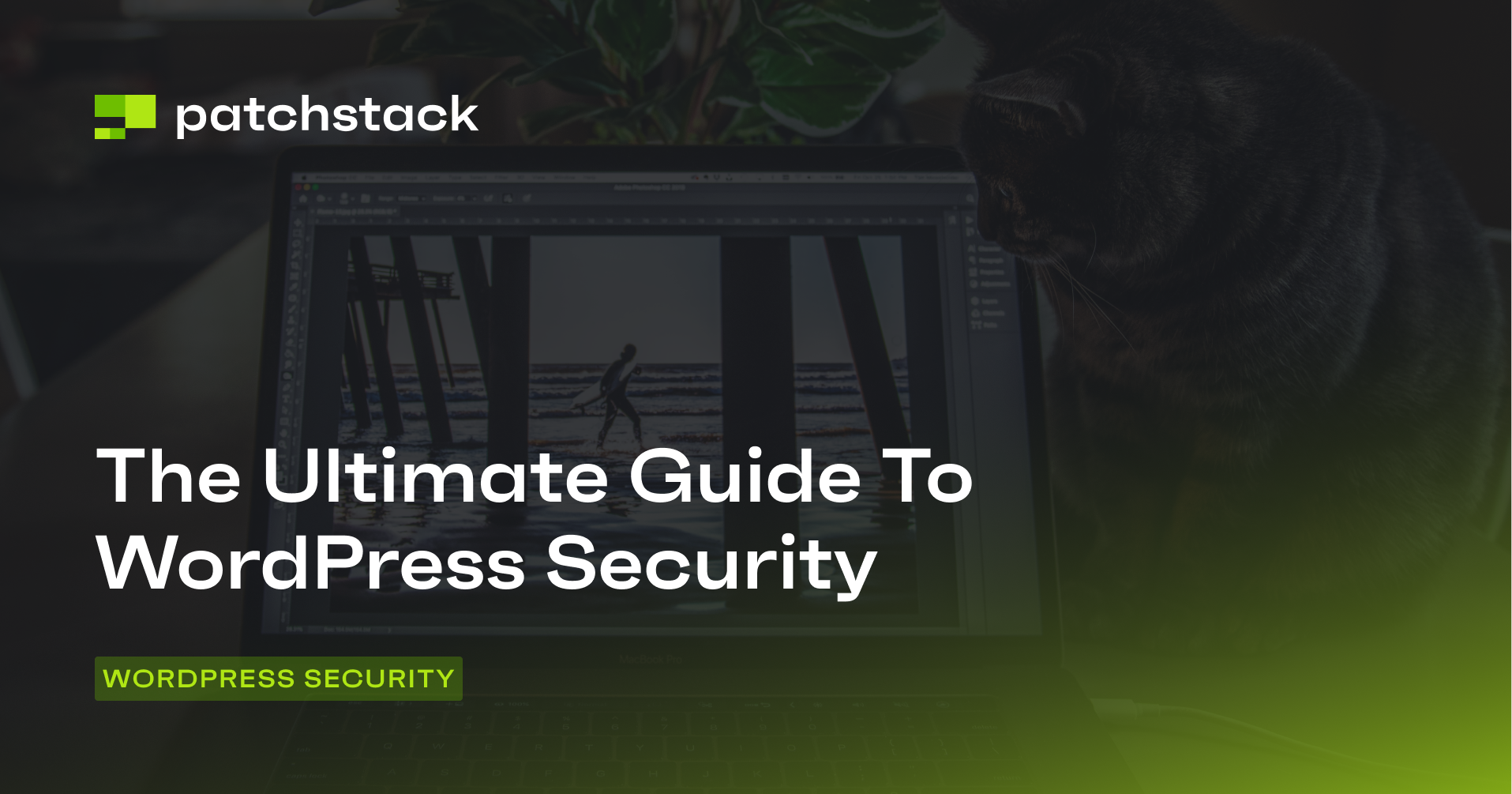 The Complete Guide To WordPress Security - Patchstack