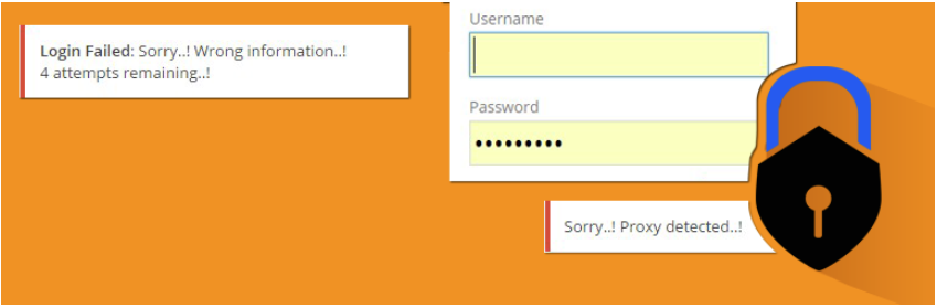 WordPress Vulnerability